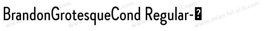 BrandonGrotesqueCond Regular字体转换